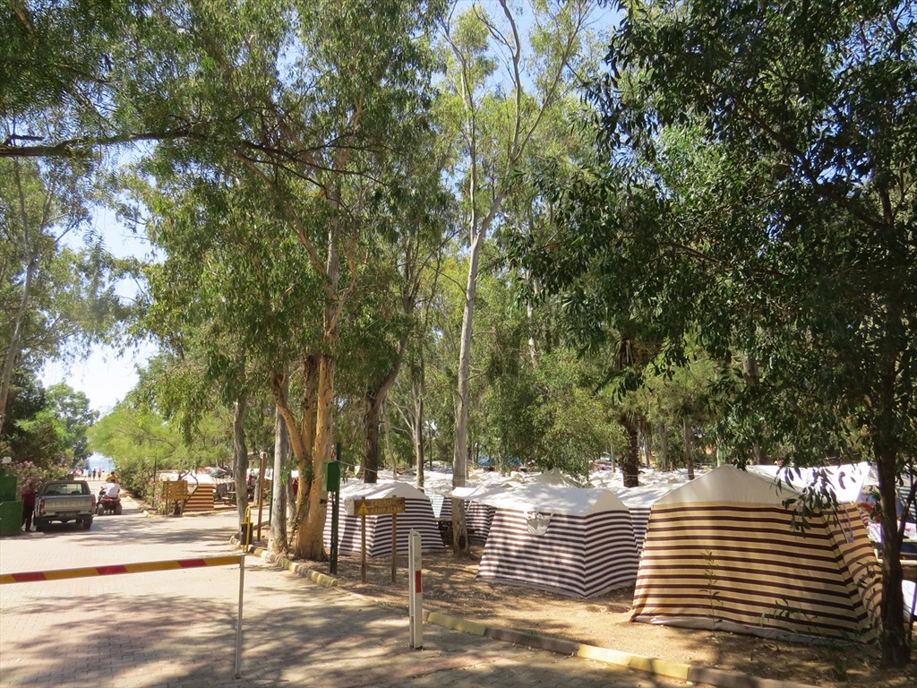 Gümüldür Orman Kampı Hakkında Her Şey