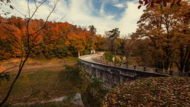 Belgrad Ormanı Nerede