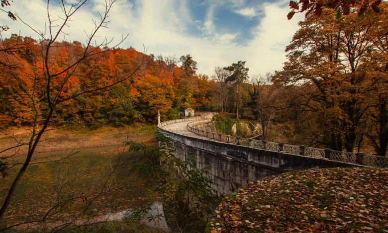 Belgrad Ormanı Nerede
