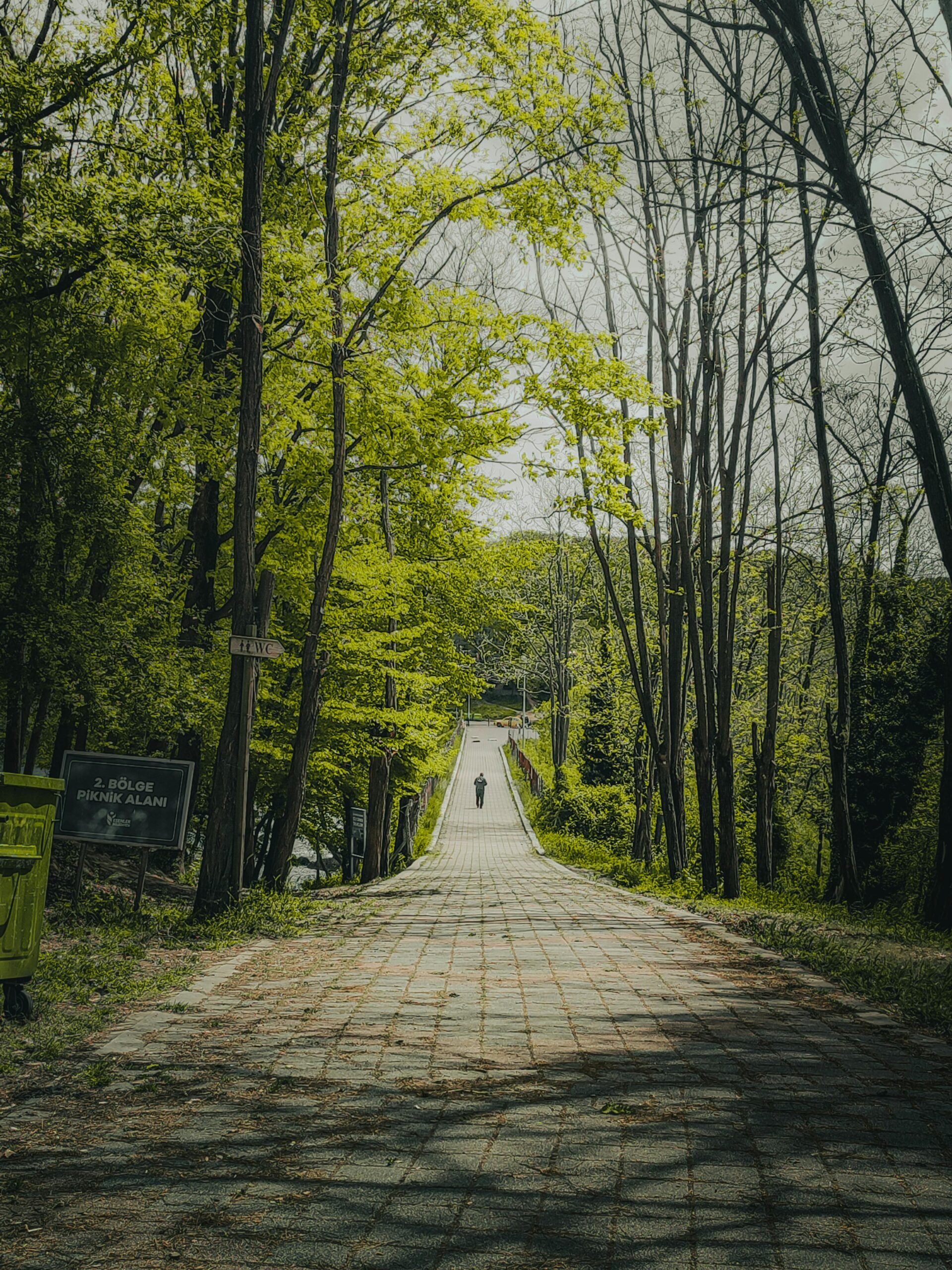 Belgrad Ormanı Nerede