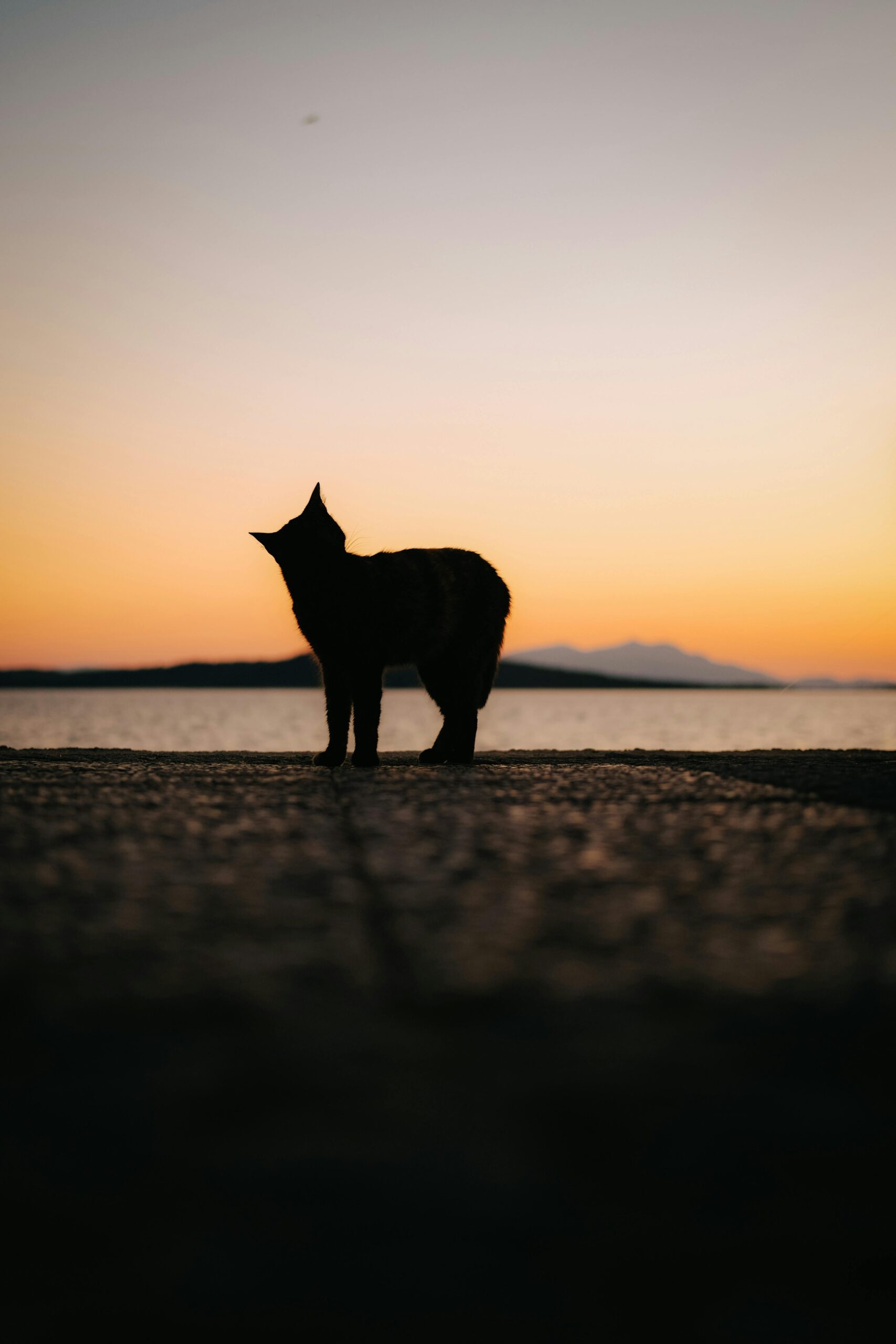 ayvalık gezi rehberi 23