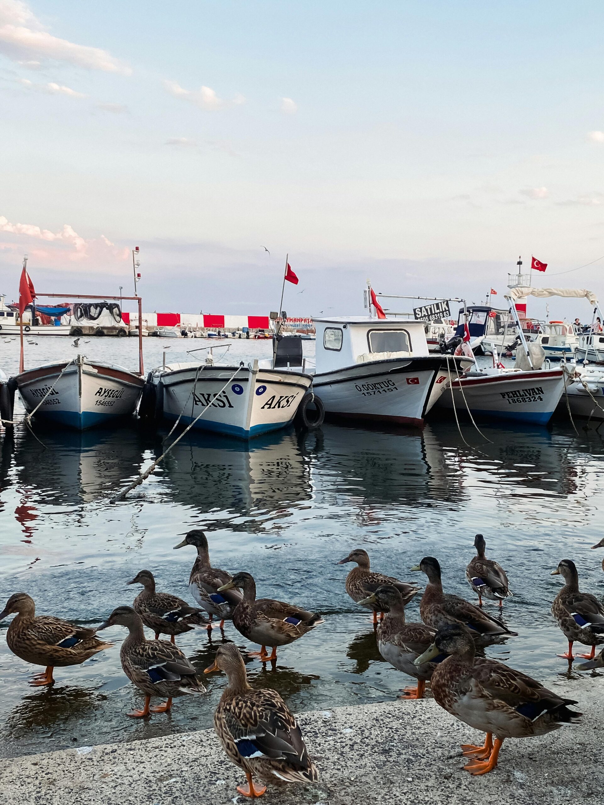 ayvalık gezi rehberi