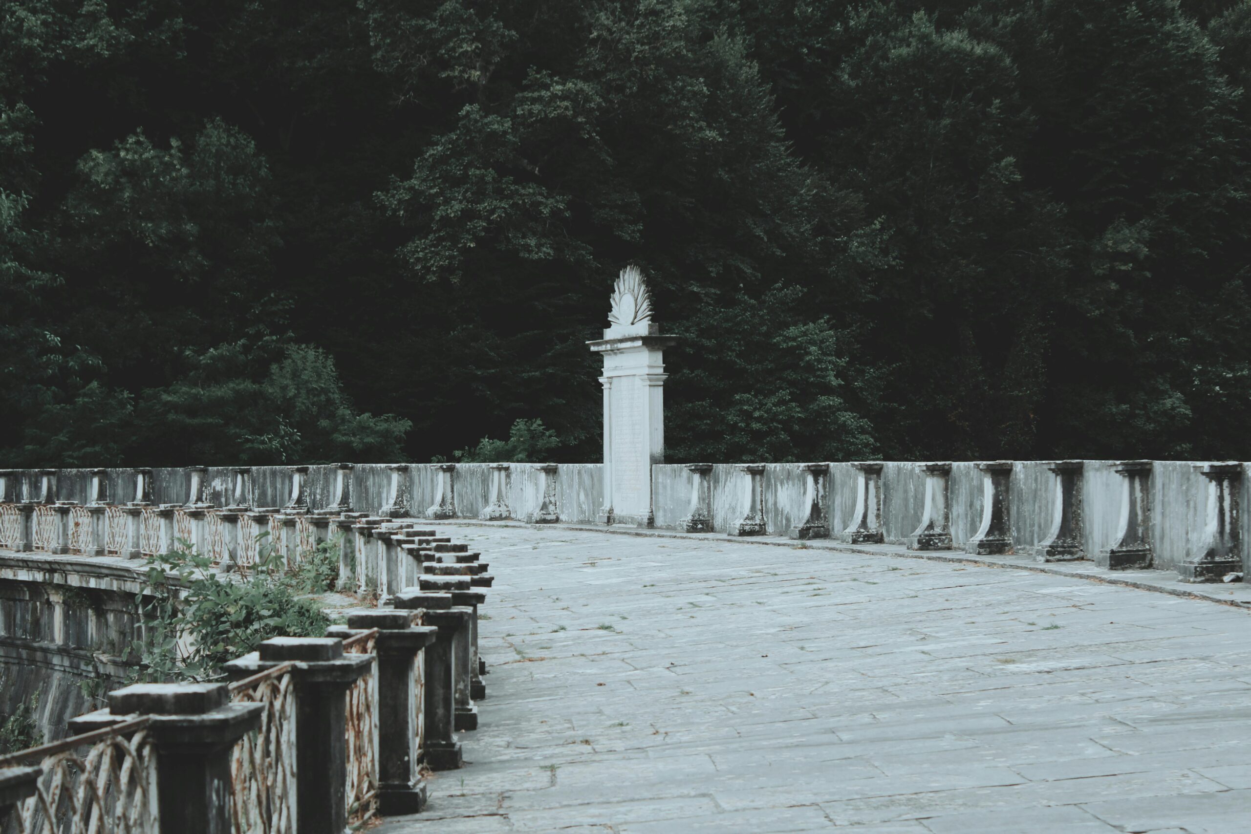 Belgrad Ormanı Nerede 2026